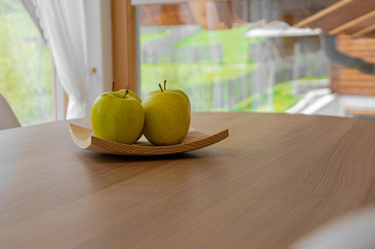 Apartment Dolomites Nest San Martino in Badia Exterior photo