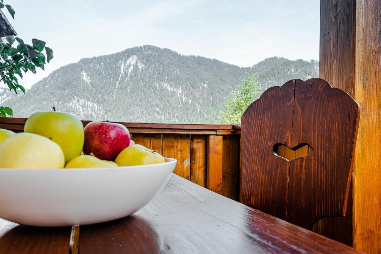 Apartment Dolomites Nest San Martino in Badia Exterior photo